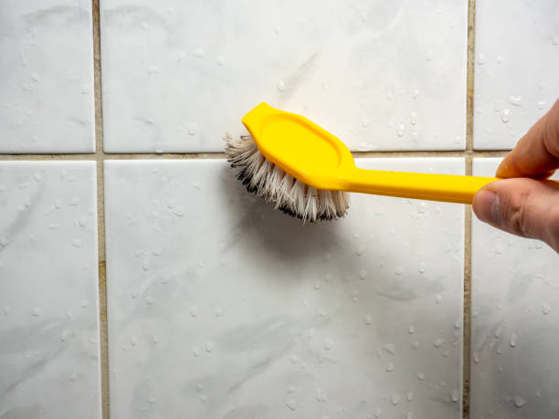 Best Kitchen Mold Remediation in Brookfield, IL
